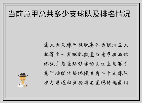 当前意甲总共多少支球队及排名情况
