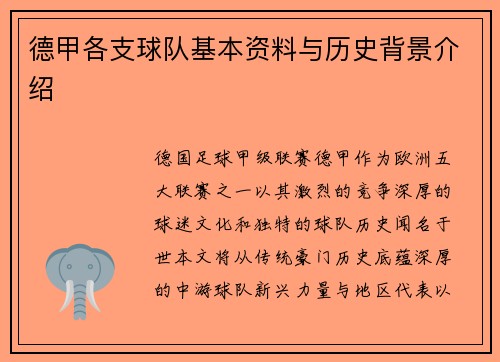 德甲各支球队基本资料与历史背景介绍